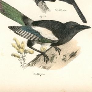 Meet your Posher, Jane